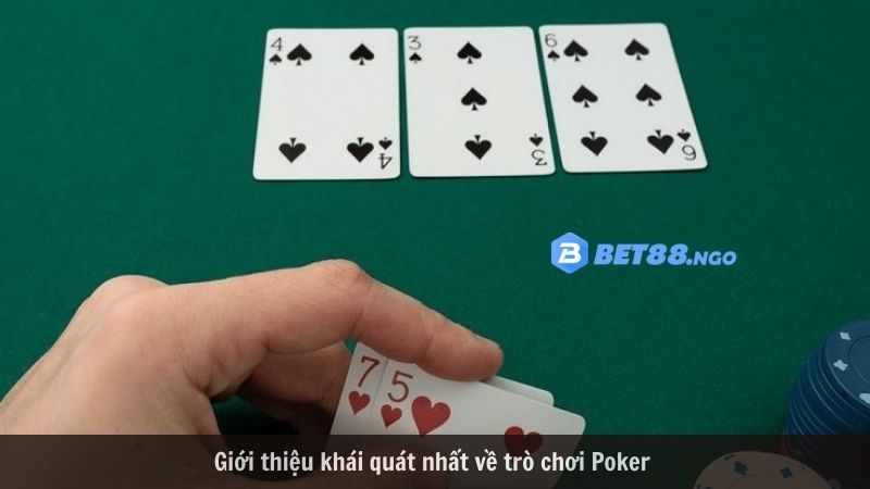 Giới thiệu khái quát nhất về trò chơi Poker 